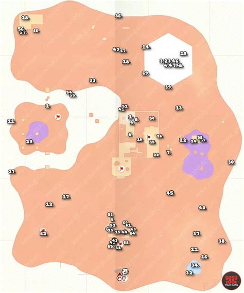 metal box in the sand kingdom|sand kingdom ruins locations.